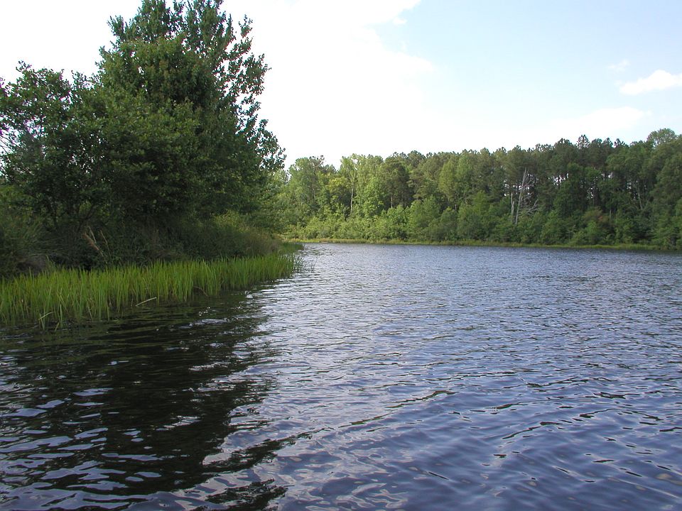 1st image of 298L24 Watering Hole Dr
