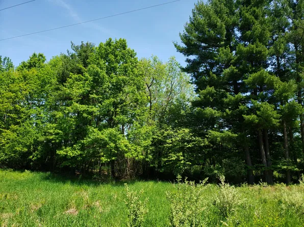 PARCEL 2 N Lasalle Rd, Scottville, MI 49454