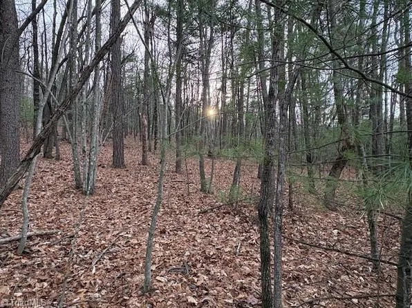 Sutters Ridge Rd Lot 149, Mc Grady, NC 28649