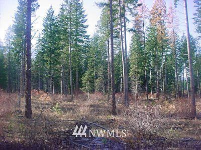 1st image of 0 Lot 1 Woods + Steele Road