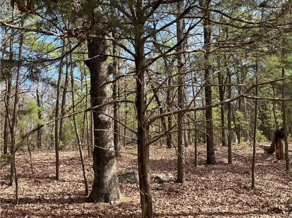 215 W B St #D & B, Antlers, OK 74523