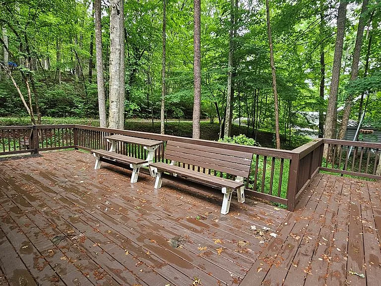 79 Coby Ann Ln — Photo 9