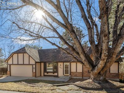 781 Grey Eagle Cir S, Colorado Springs, CO, 80919