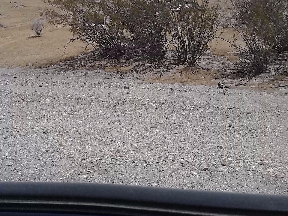 1st image of Barranca Ave
