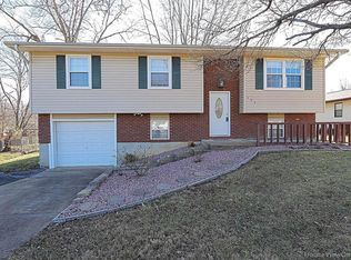 302 W McKee St, Desloge, MO 63601