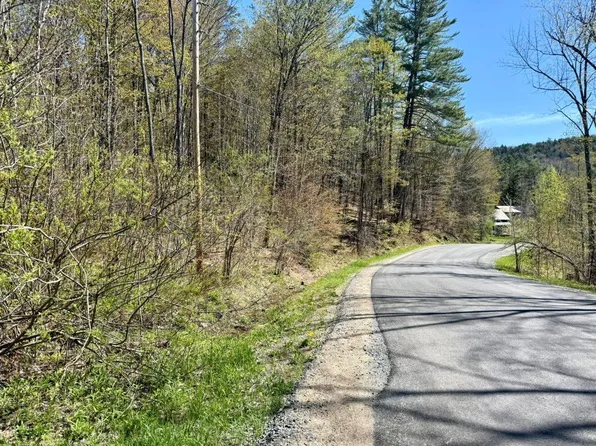 299 & 331 Page St, Lake Pleasant, NY 12108