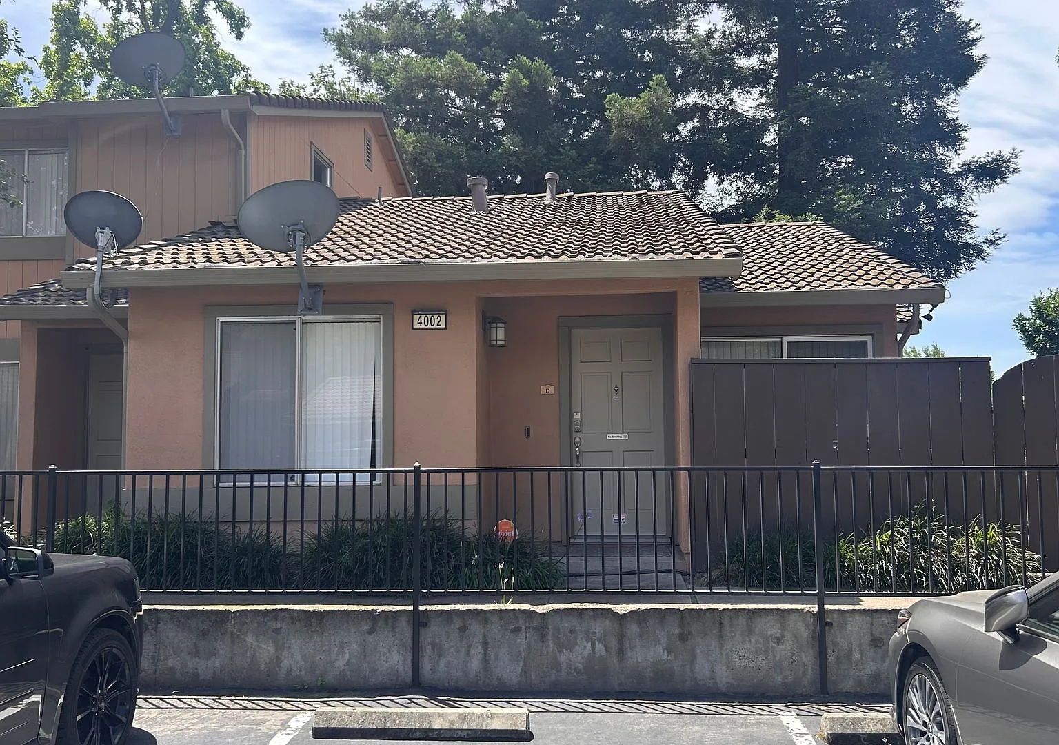 3618 - Reed — Photo 2