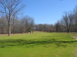 9460 Clubhouse Drive West. Canadian Lks, Stanwood, MI 49346