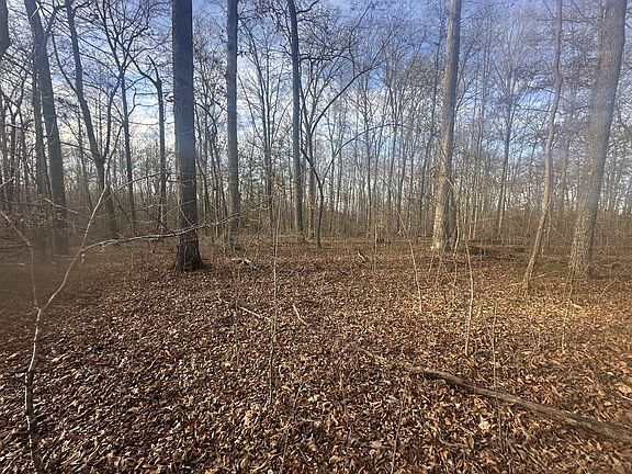 3rd image of 0 Arnold Thomas Rd Lot 4