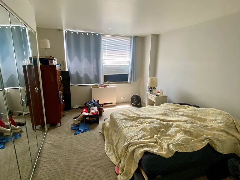 525 W Hawthorne Pl #2105 — Photo 9