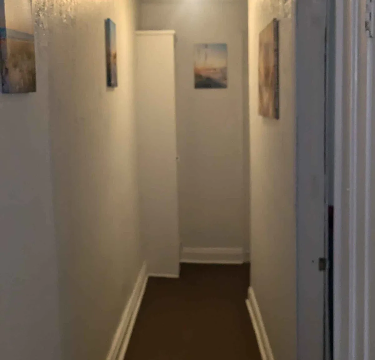 1 bed, 795 sqft, $795 — Photo 4