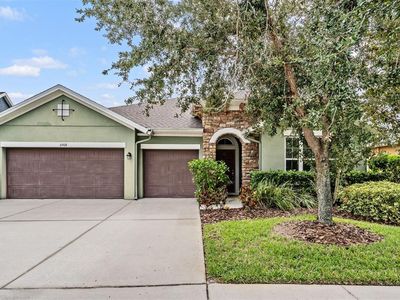 6908 Covington Stone Ave, Apollo Beach, FL, 33572
