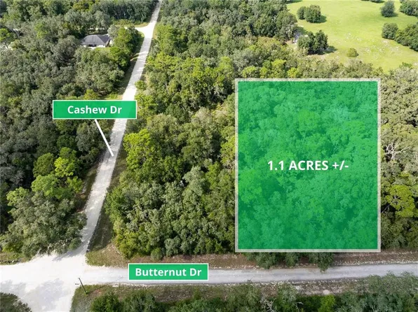 Butternut Dr Lot 6, Webster, FL 33597