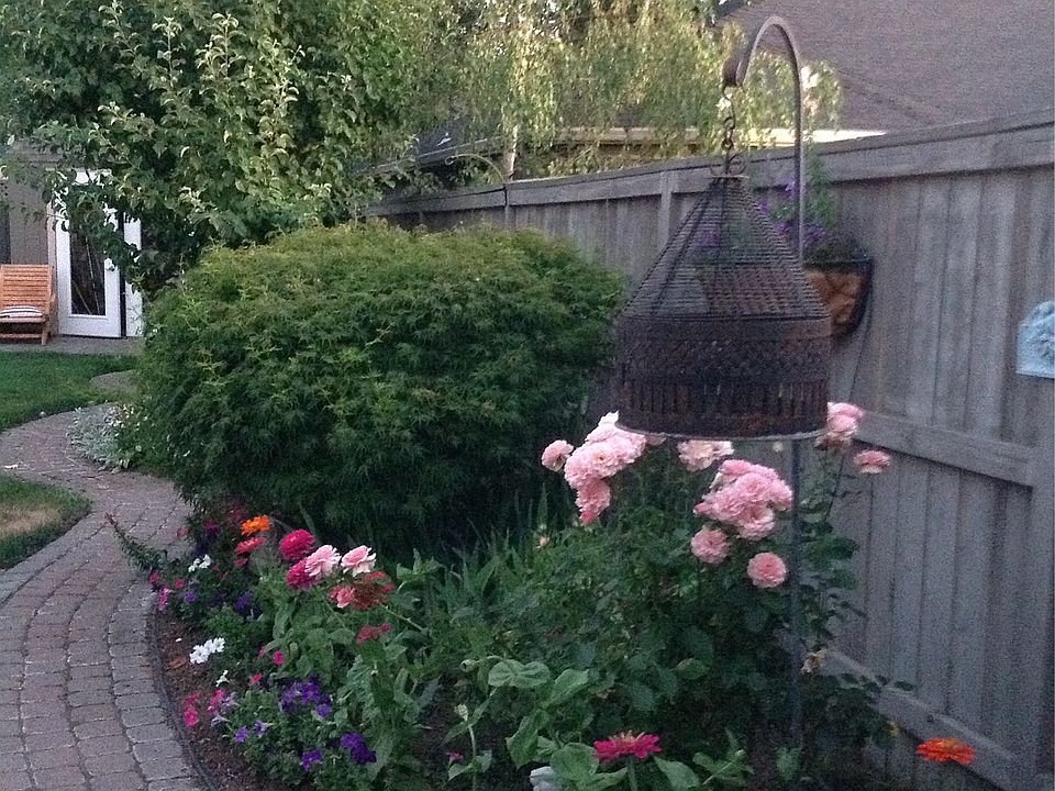Brickwork and garden shed.