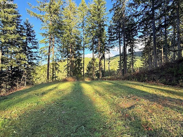 1st image of Alder Branch Rd