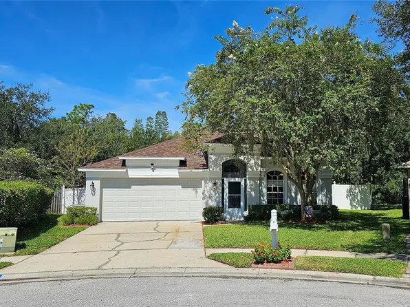 29221 Birds Eye Dr, Zephyrhills, FL 33543