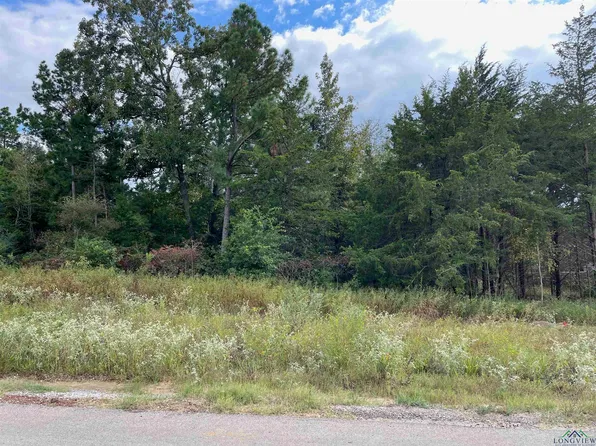 19371 Cedarpark Pl Lot 32, Lindale, TX 75771