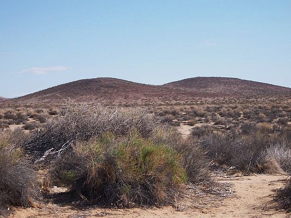 BLM land out back gate