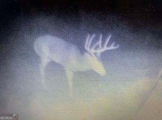 2221 Abbeville Hwy, Hawkinsville, GA 31036