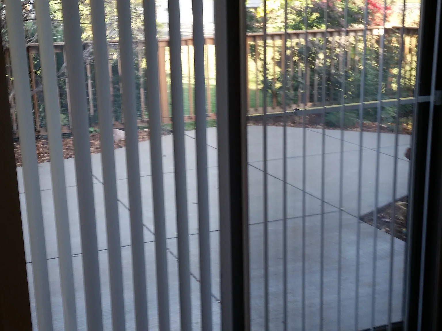 3 bed, 1700 sqft, $2,000 — Photo 3