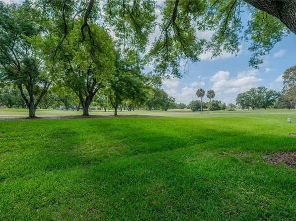 4206 Golf Club Ln, Tampa, FL 33618