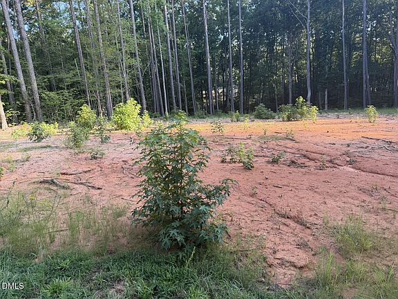 5th image of 206 Rev Lewis Way Lot 9