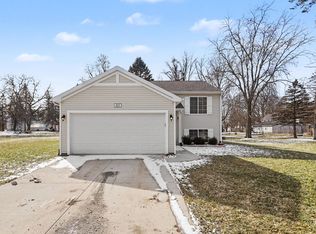 423 E Ellsworth St, Bellevue, MI 49021