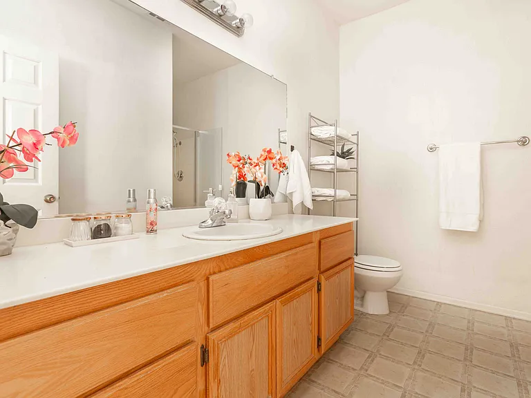 Primary bathroom