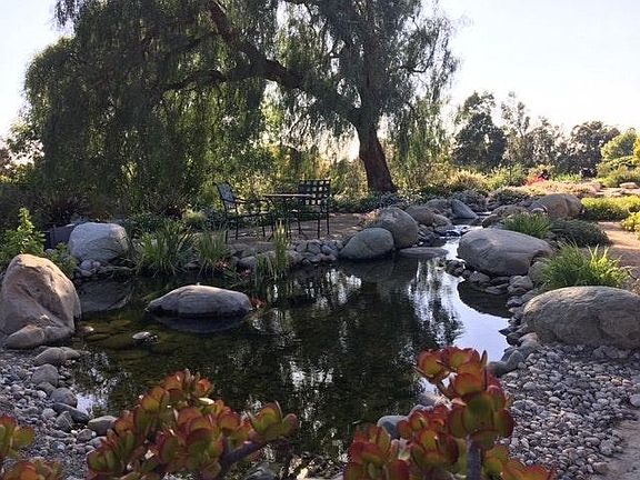 Koi Pond