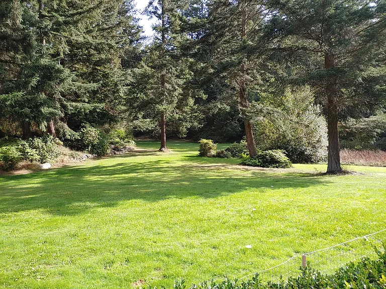925 Classic Rd — Photo 30
