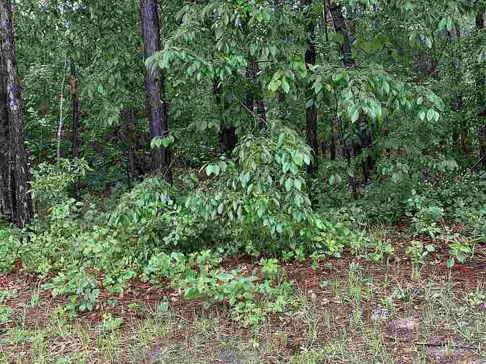 2nd image of 56 Stone Wood Ln