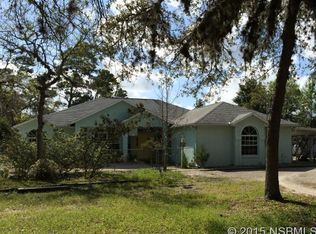 3002 Turnbull Bay Rd, New Smyrna Beach, FL 32168