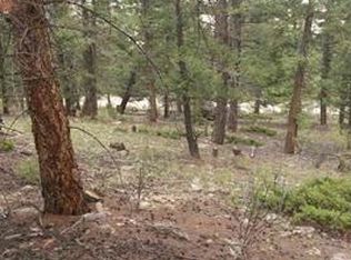 Redhill Rd, Fairplay, CO 80440