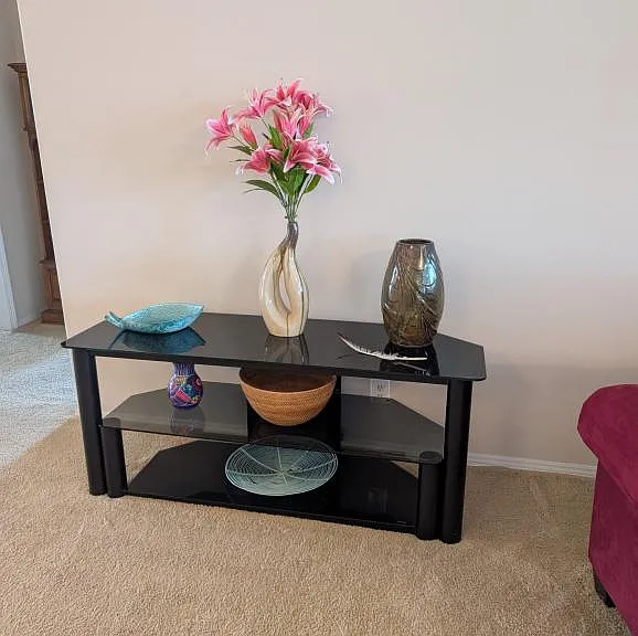 5626 Swan Lake Dr #521 — Photo 40