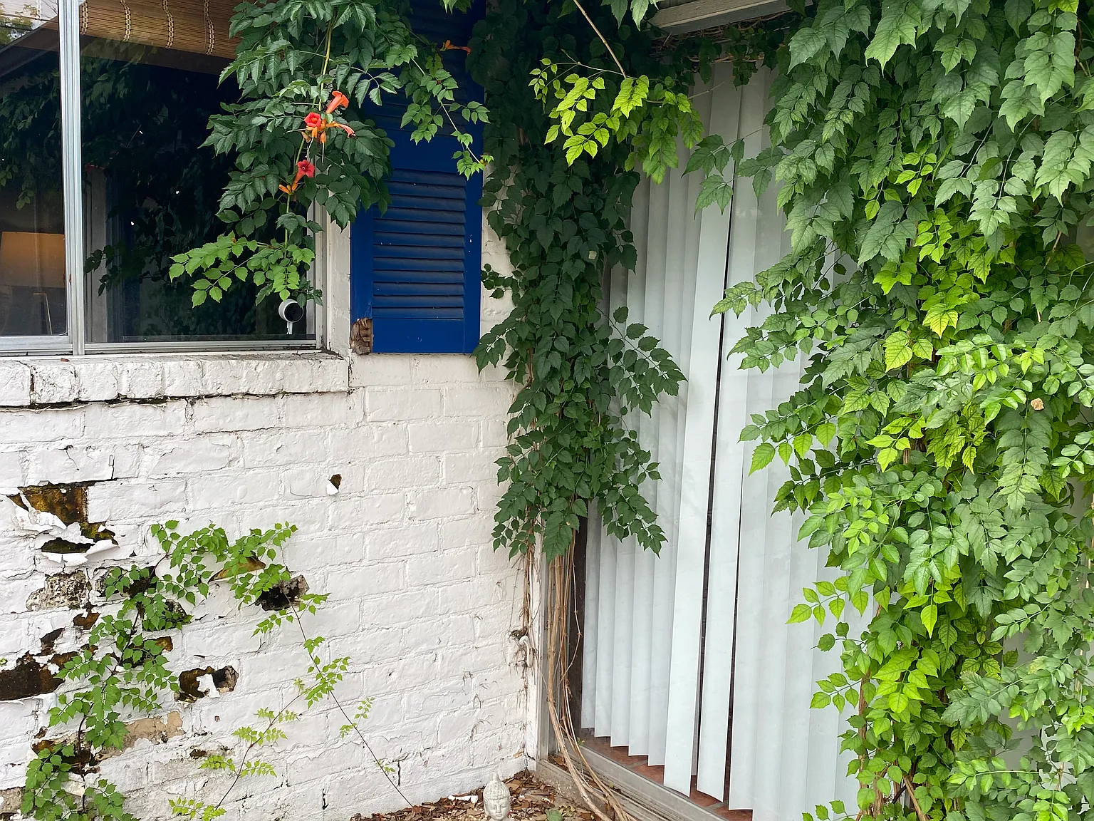 3 bed, 1100 sqft, $2,350 — Photo 3