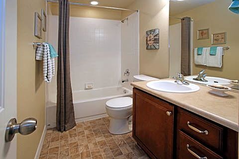 Lower Level Bathroom