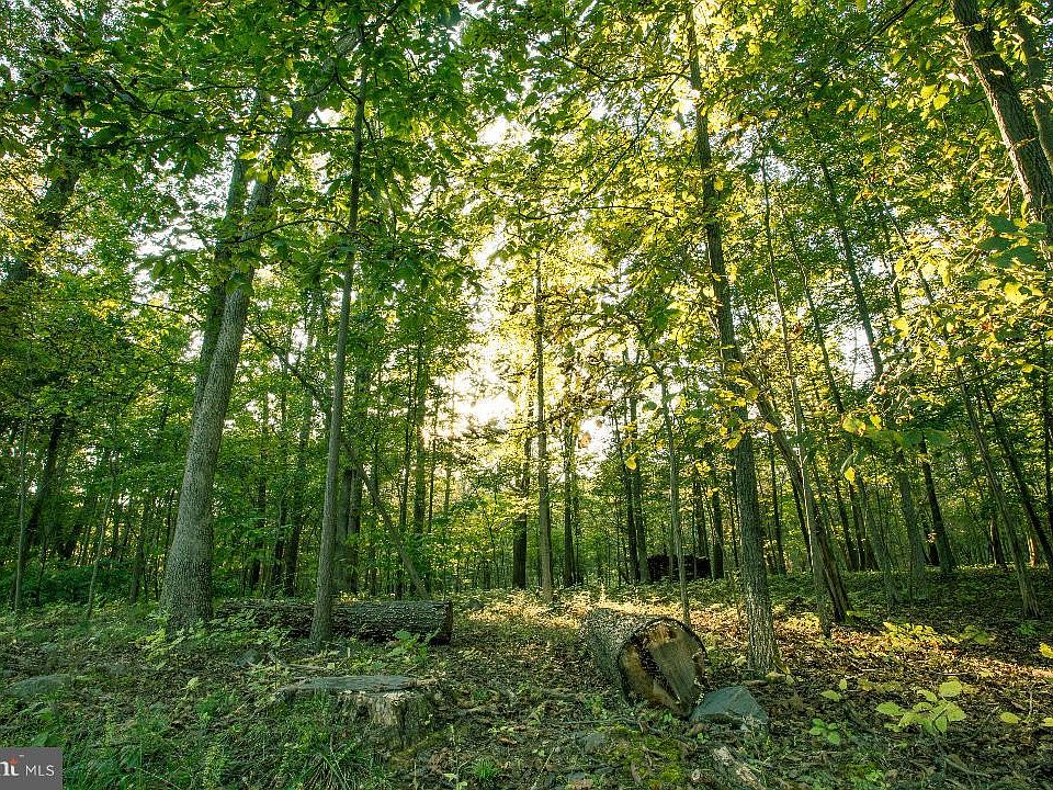 2nd image of 15 Swift River Way