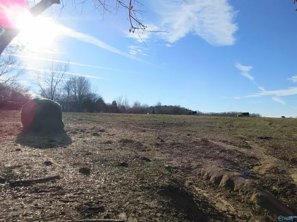 369 Maddox Rd, Pisgah, AL 35765