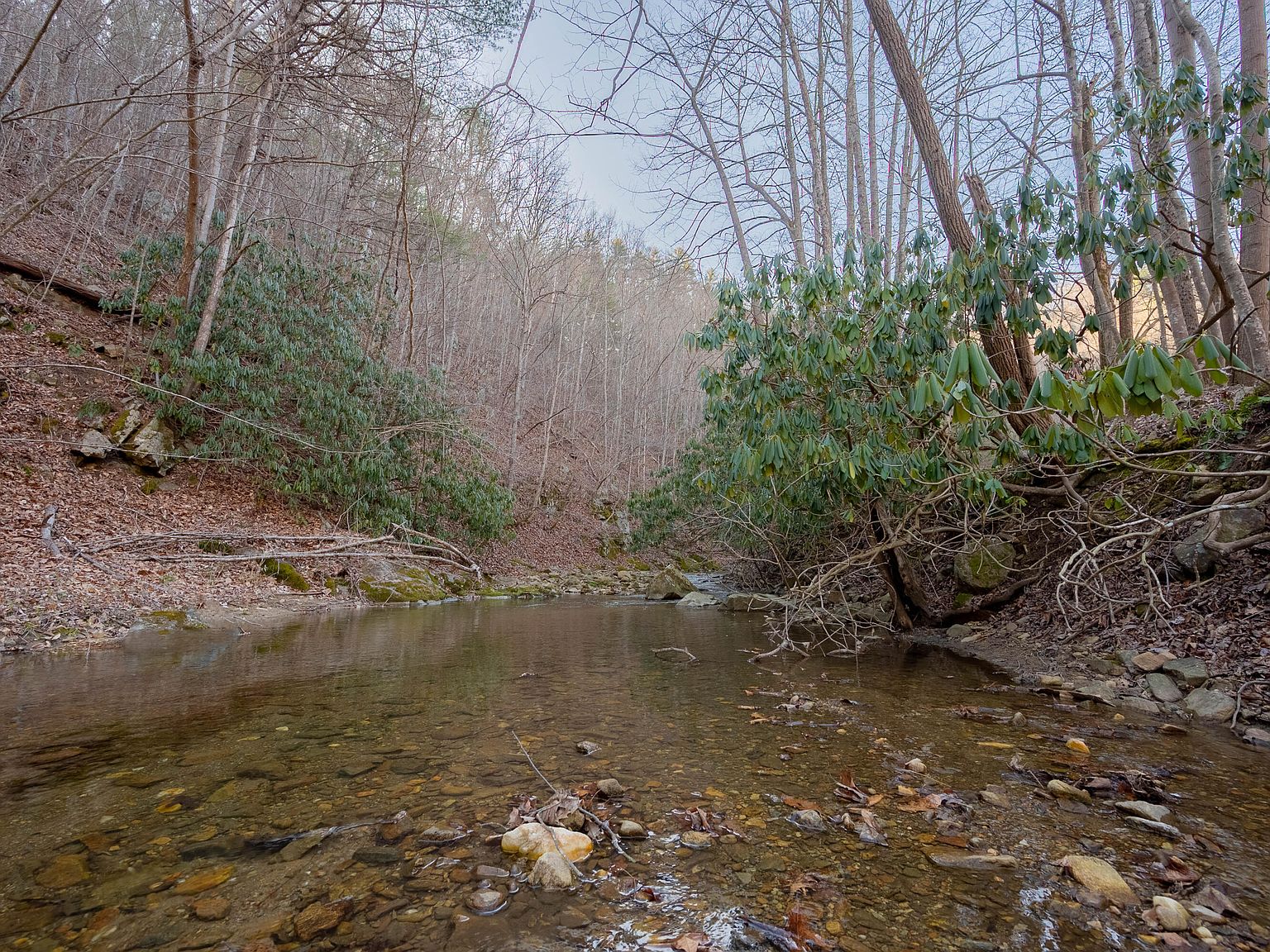 0 Shawsville Pike NE 0, Check, VA 24072 Zillow