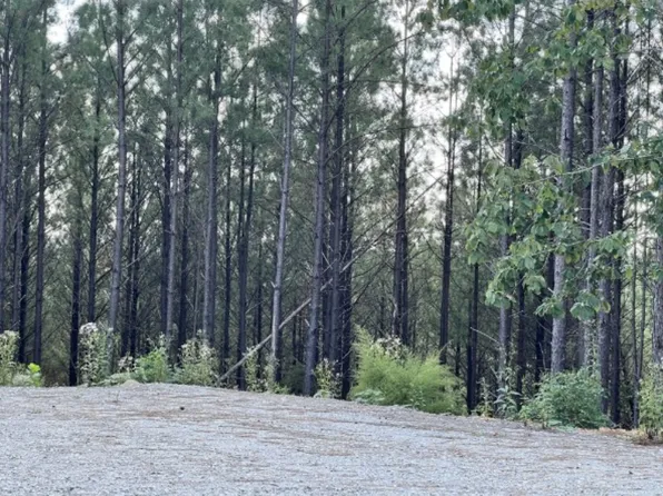 149 Highland Dr Lot 112, Linden, TN 37096