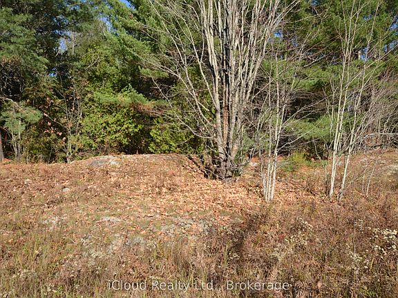 5th image of 2 Parker Bay Rd