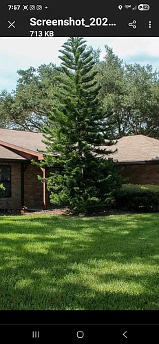 4715 Live Oak Rd Photo 1