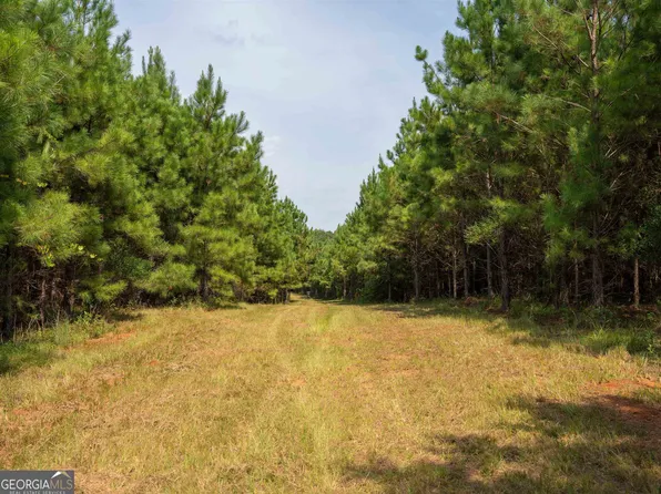 5635 Englishville Rd, Andersonville, GA 31711