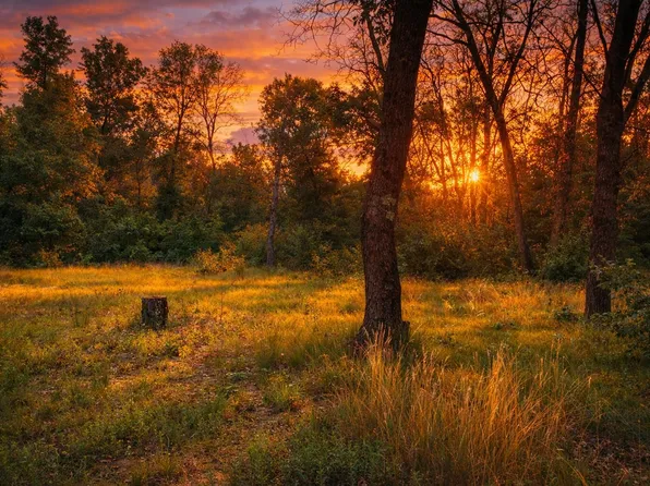 102 E Peoria Ave, Idlewild, MI 49642