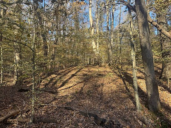 2nd image of 656 Clell Rd