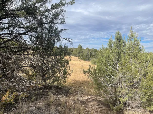 52840 N Conquistador Pkwy, Seligman, AZ 86337