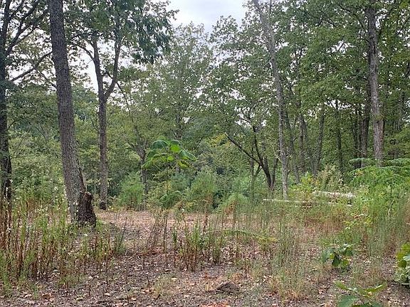 4th image of 105 Hidden Falls Ln