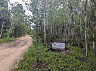 TBD Roy Smith Road, Central City, CO 80427