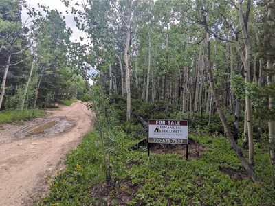 TBD Roy Smith Road, Central City, CO, 80427