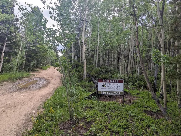 TBD Roy Smith Road, Central City, CO 80427